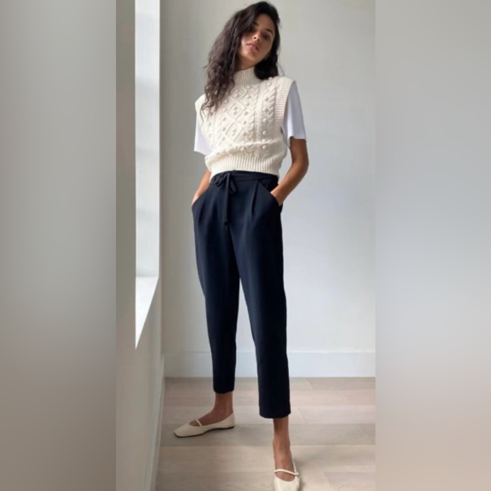 Wilfred Aritzia Cropped Pants